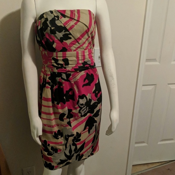 The Limited - Picture 1 of 1